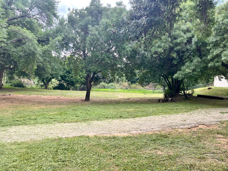 Main Play Area after cleaning