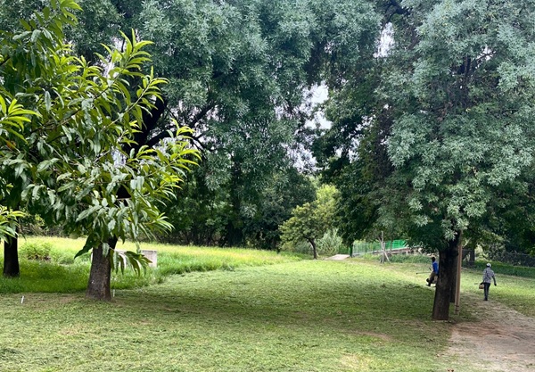 Side Play Area after cleaning